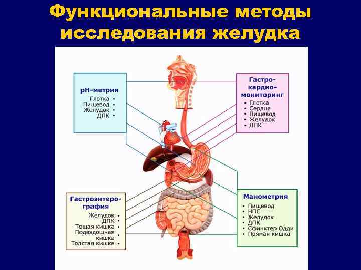 Функциональные методы исследования желудка 
