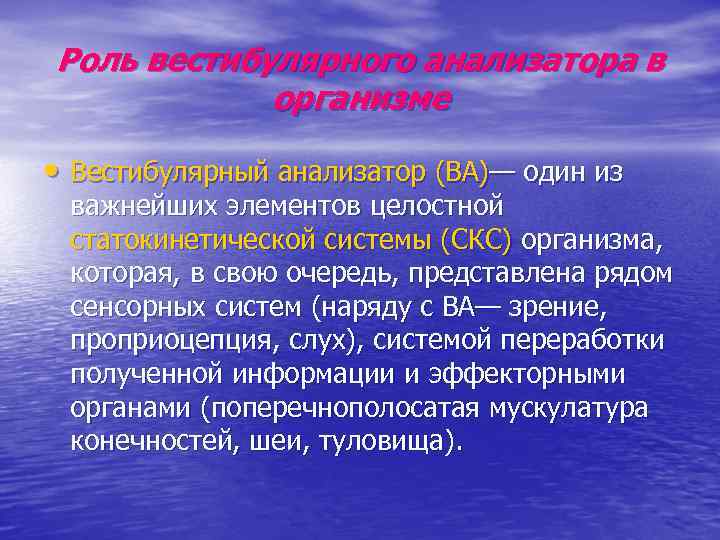 Роль вестибулярного анализатора в организме • Вестибулярный анализатор (ВА)— один из важнейших элементов целостной