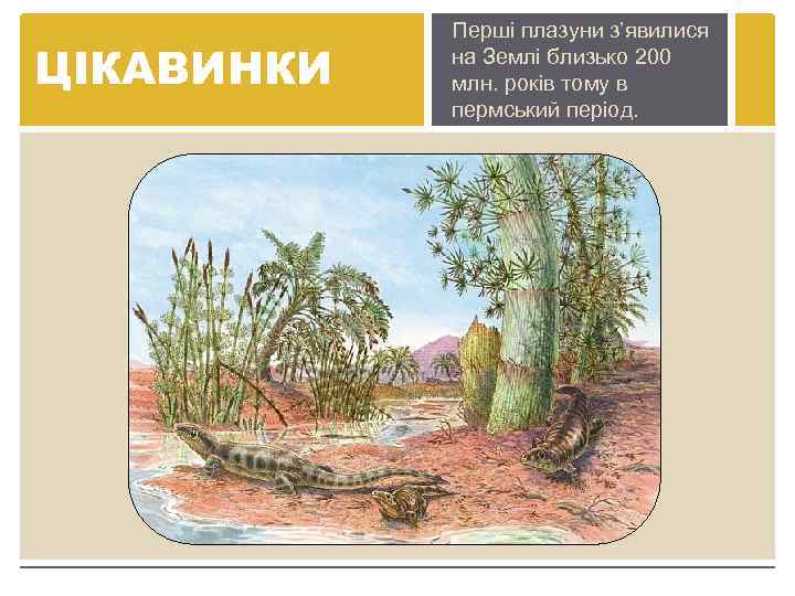 ЦІКАВИНКИ Перші плазуни з’явилися на Землі близько 200 млн. років тому в пермський період.