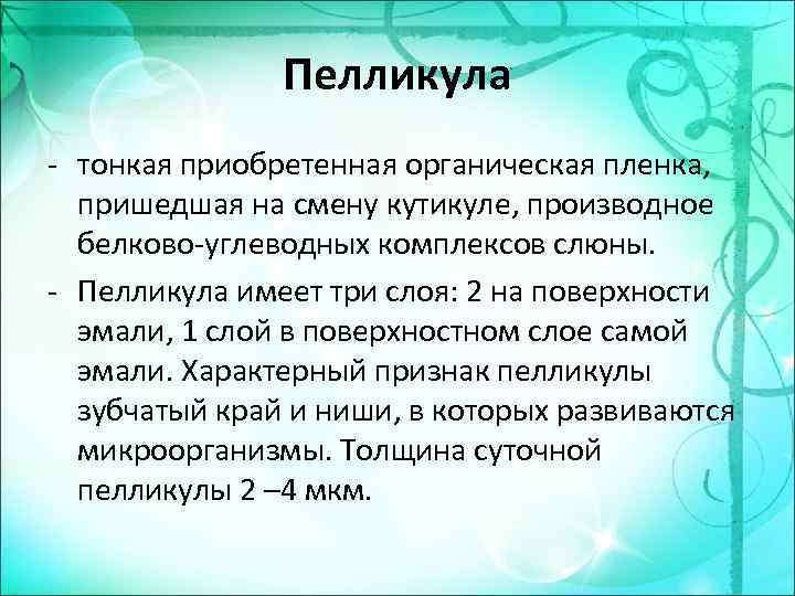 Пелликула зуба это