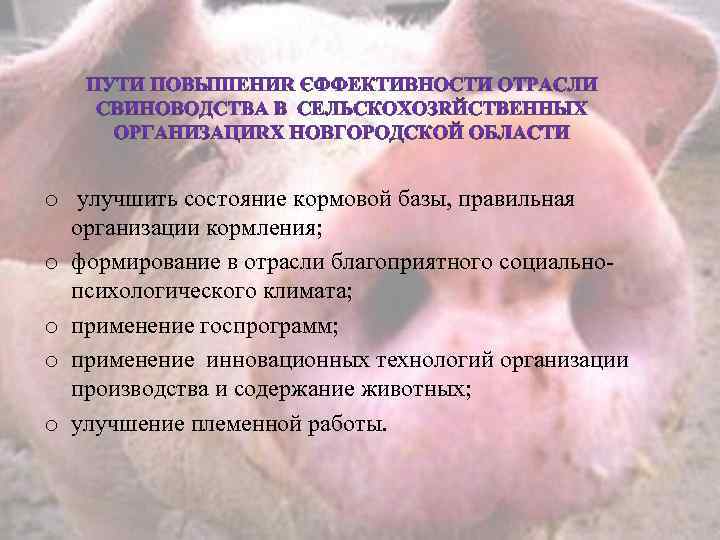 o улучшить состояние кормовой базы, правильная организации кормления; o формирование в отрасли благоприятного социальнопсихологического