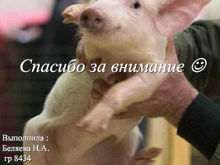 Спасибо за внимание Выполнила : Беляева Н. А. гр 8434 