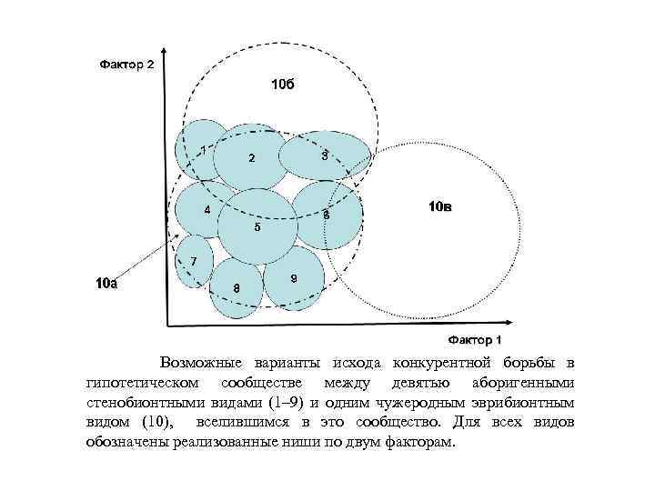  Возможные варианты исхода конкурентной борьбы в гипотетическом сообществе между девятью аборигенными стенобионтными видами