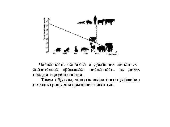 Численность человека и домашних животных значительно превышает численность их диких предков и родственников. Таким