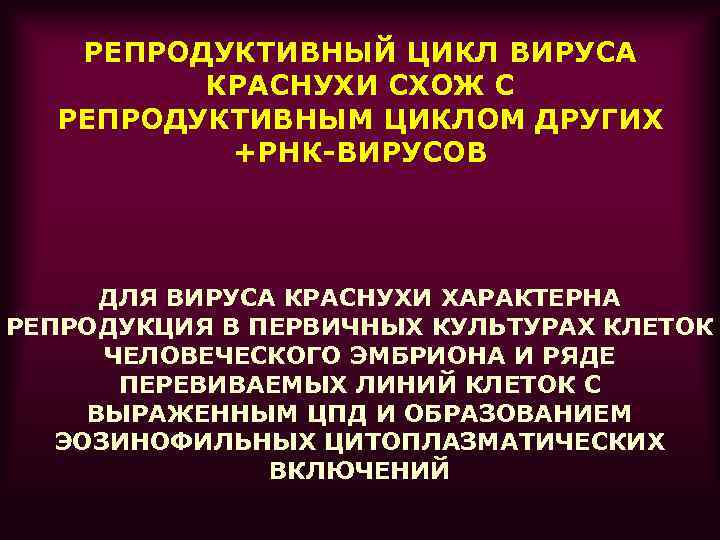 РЕПРОДУКТИВНЫЙ ЦИКЛ ВИРУСА КРАСНУХИ СХОЖ С РЕПРОДУКТИВНЫМ ЦИКЛОМ ДРУГИХ +РНК-ВИРУСОВ ДЛЯ ВИРУСА КРАСНУХИ ХАРАКТЕРНА