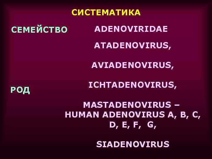 СИСТЕМАТИКА СЕМЕЙСТВО ADENOVIRIDAE ATADENOVIRUS, AVIADENOVIRUS, РОД ICHTADENOVIRUS, MASTADENOVIRUS – HUMAN ADENOVIRUS A, B, C,