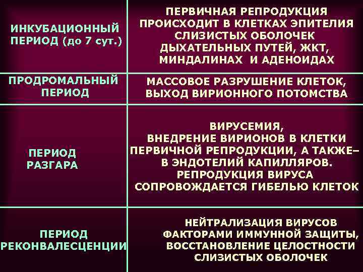 ИНКУБАЦИОННЫЙ ПЕРИОД (до 7 сут. ) ПЕРВИЧНАЯ РЕПРОДУКЦИЯ ПРОИСХОДИТ В КЛЕТКАХ ЭПИТЕЛИЯ СЛИЗИСТЫХ ОБОЛОЧЕК