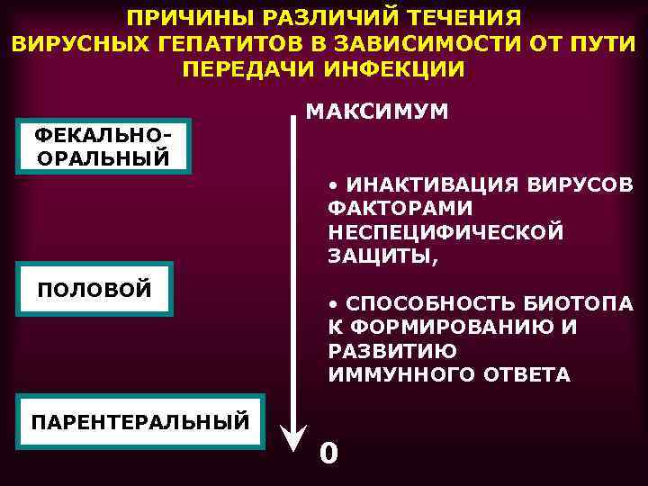 ПРИЧИНЫ РАЗЛИЧИЙ ТЕЧЕНИЯ ВИРУСНЫХ ГЕПАТИТОВ В ЗАВИСИМОСТИ ОТ ПУТИ ПЕРЕДАЧИ ИНФЕКЦИИ ФЕКАЛЬНООРАЛЬНЫЙ МАКСИМУМ •