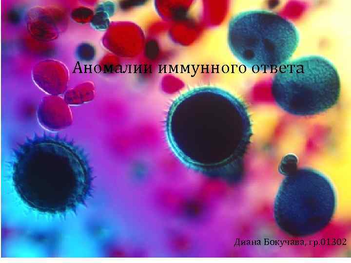 Аномалии иммунного ответа Диана Бокучава, гр. 01302 