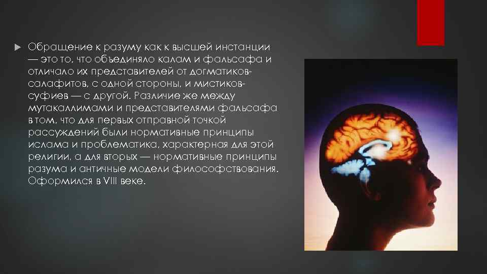  Обращение к разуму как к высшей инстанции — это то, что объединяло калам