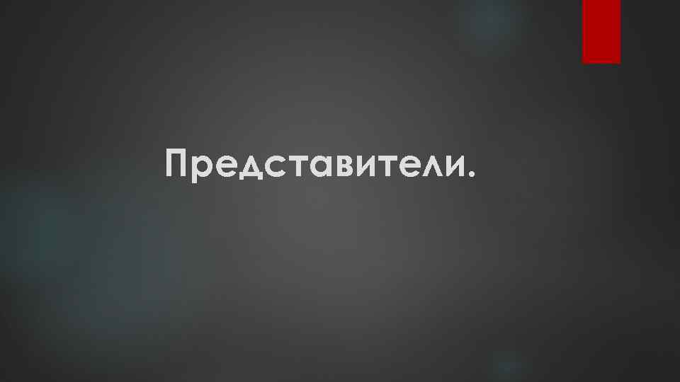 Представители. 