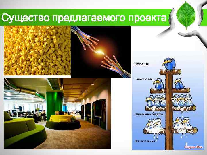 Существо предлагаемого проекта 