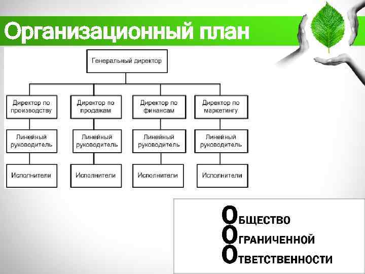 Организационный план 