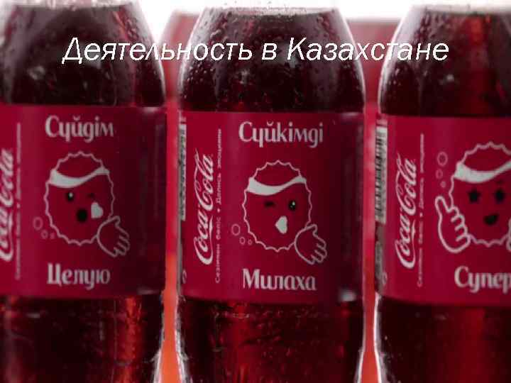 Деятельность в Казахстане 