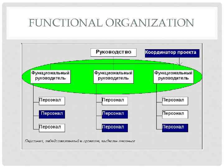 FUNCTIONAL ORGANIZATION 