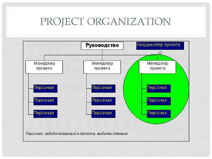 PROJECT ORGANIZATION 