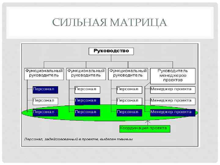 СИЛЬНАЯ МАТРИЦА 