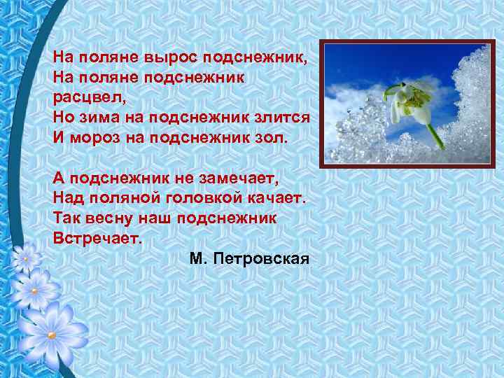 На поляне вырос подснежник, На поляне подснежник расцвел, Но зима на подснежник злится И