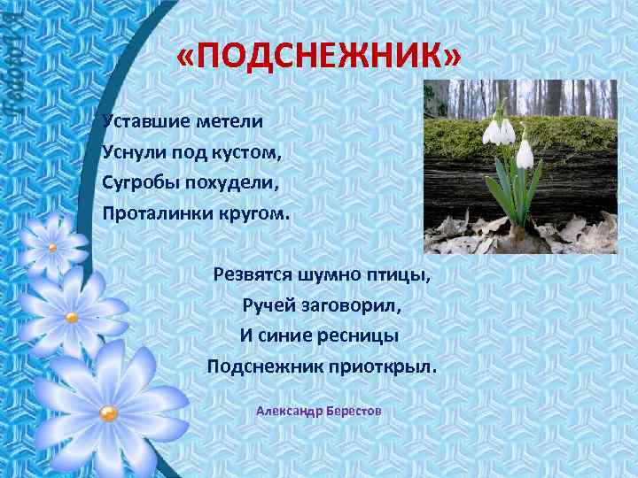  «ПОДСНЕЖНИК» Уставшие метели Уснули под кустом, Сугробы похудели, Проталинки кругом. Резвятся шумно птицы,