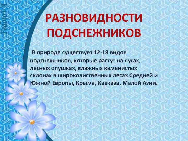 РАЗНОВИДНОСТИ ПОДСНЕЖНИКОВ В природе существует 12 -18 видов подснежников, которые растут на лугах, лесных