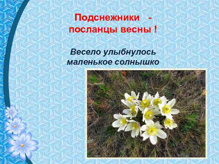 Подснежники посланцы весны ! Весело улыбнулось маленькое солнышко 