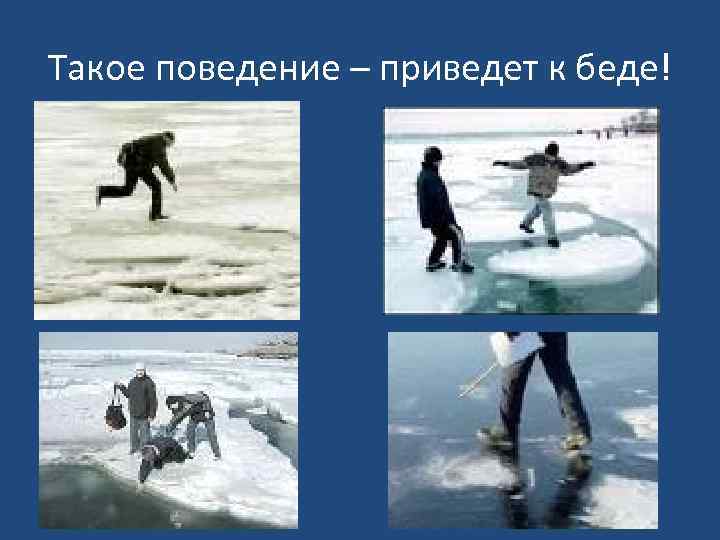 Такое поведение – приведет к беде! 