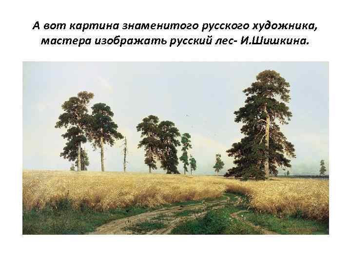 А вот картина знаменитого русского художника, мастера изображать русский лес- И. Шишкина. 