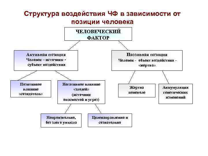 Структура воздействия