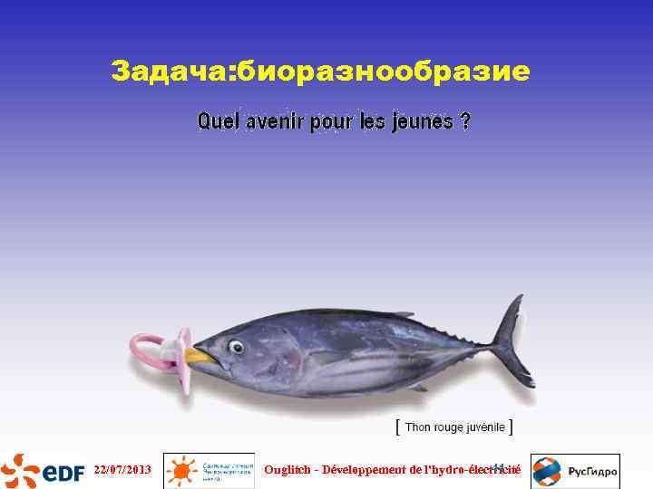 Задача: биоразнообразие 22/07/2013 44 Ouglitch - Développement de l'hydro-électricité 