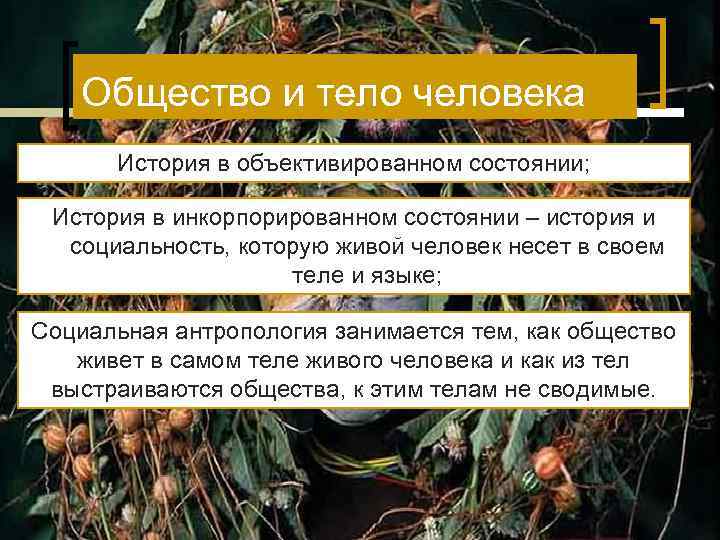 Общество и тело человека История в объективированном состоянии; История в инкорпорированном состоянии – история