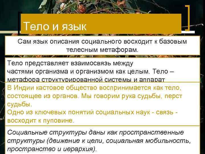 Тело и язык Сам язык описания социального восходит к базовым телесным метафорам. Тело представляет