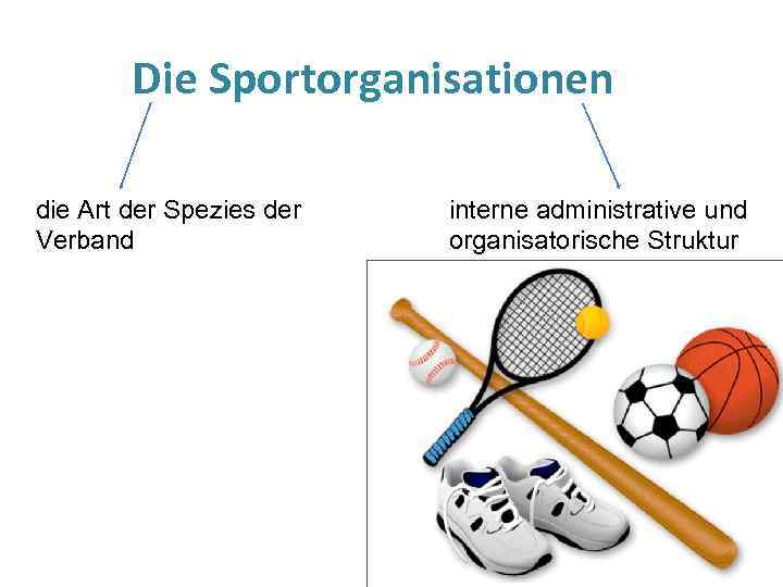 Die Sportorganisationen die Art der Spezies der Verband interne administrative und organisatorische Struktur 