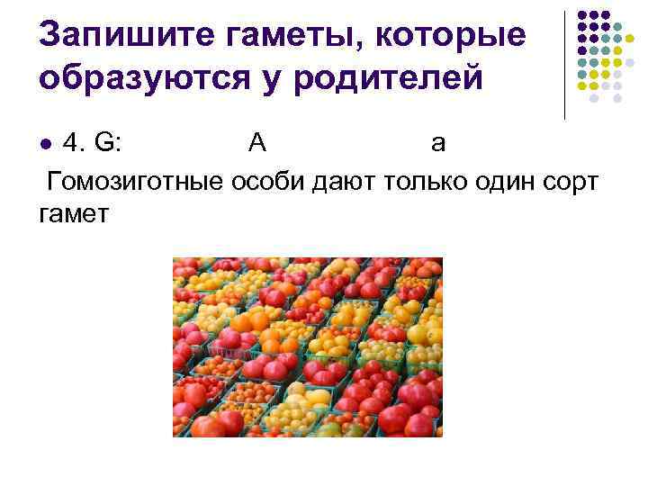 Запишите гаметы, которые образуются у родителей 4. G: А а Гомозиготные особи дают только