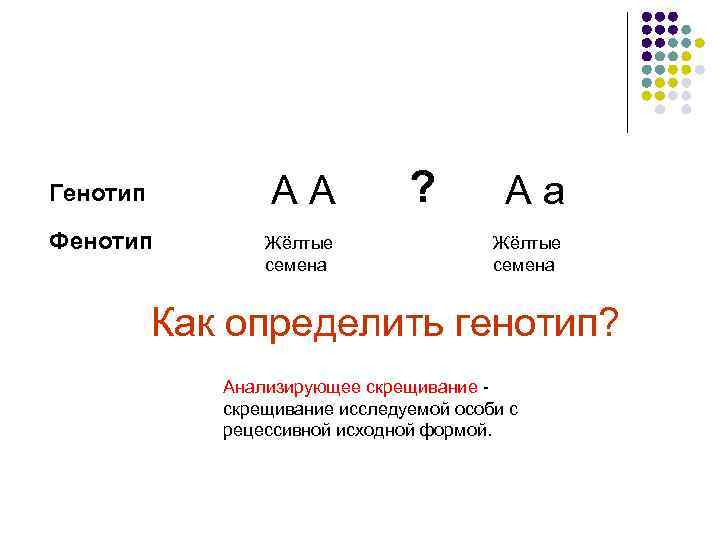 А А Генотип Фенотип Жёлтые семена ? А а Жёлтые семена Как определить генотип?