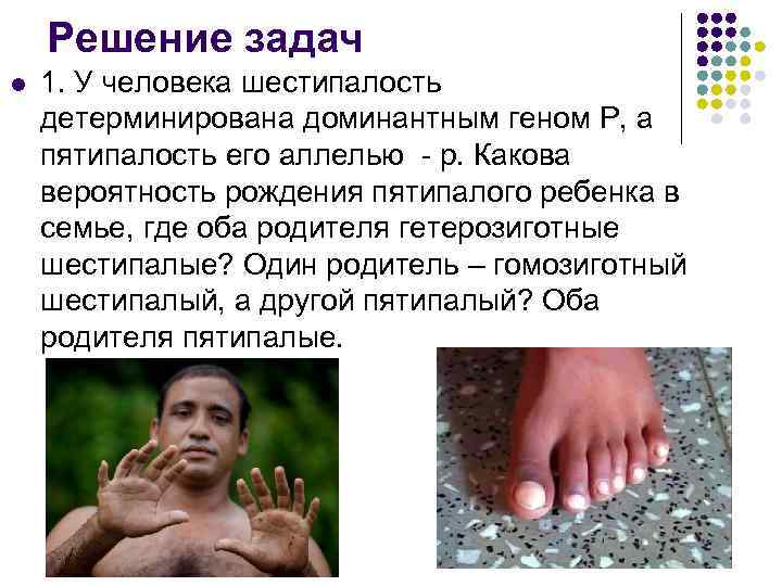 Решение задач l 1. У человека шестипалость детерминирована доминантным геном Р, а пятипалость его