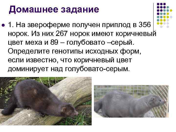 Домашнее задание l 1. На звероферме получен приплод в 356 норок. Из них 267