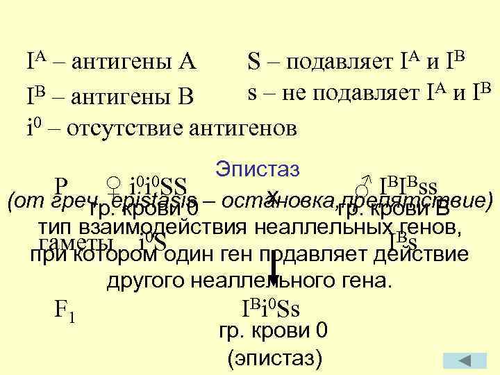 IA – антигены A S – подавляет IA и IB B – антигены B