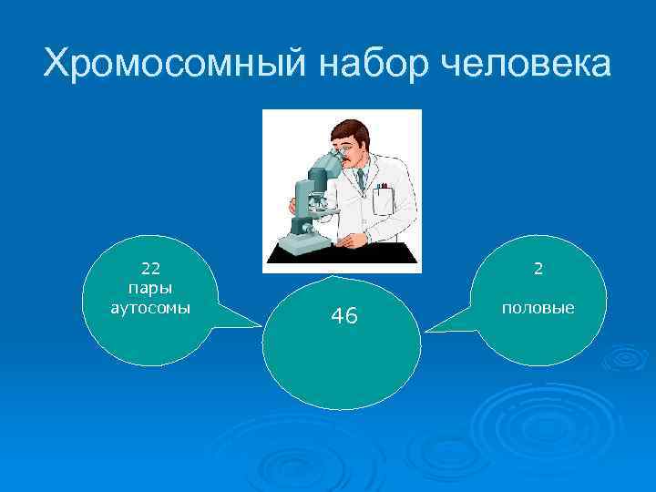 Хромосомный набор человека 22 пары аутосомы 2 46 половые 