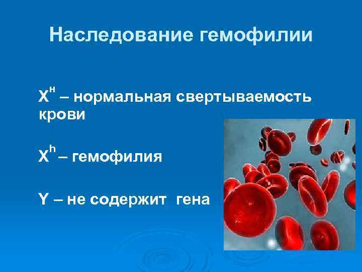 Наследование гемофилии н Х – нормальная свертываемость крови h Х – гемофилия Y –