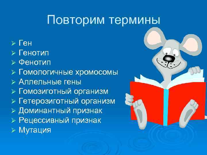 Повторим термины Ø Ø Ø Ø Ø Генотип Фенотип Гомологичные хромосомы Аллельные гены Гомозиготный