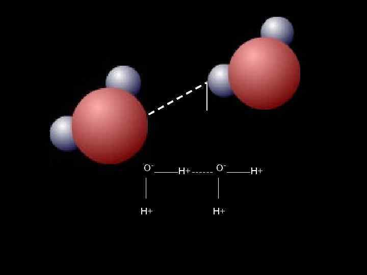 O- H+ H+ H+ 