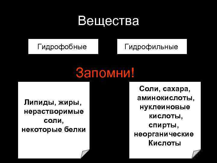 Вещества Гидрофобные Гидрофильные Запомни! Липиды, жиры, нерастворимые соли, некоторые белки Соли, сахара, аминокислоты, нуклеиновые