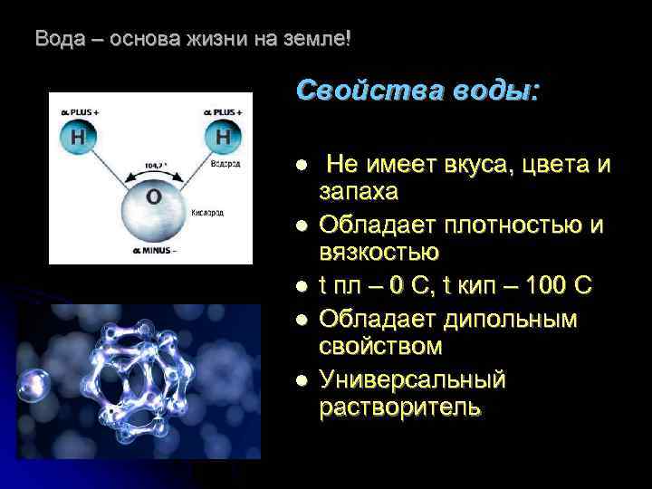 Вода – основа жизни на земле! Свойства воды: l l l Не имеет вкуса,