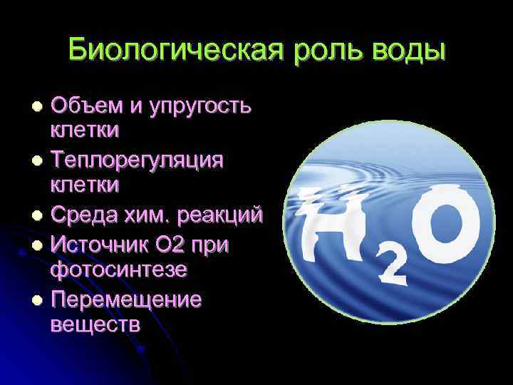 Биологическая роль воды Объем и упругость клетки l Теплорегуляция клетки l Среда хим. реакций