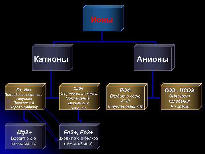 Ионы Катионы К+, Na+ Анионы Са 2+ Проведение нервного импульса Перенос в-в через мембрану