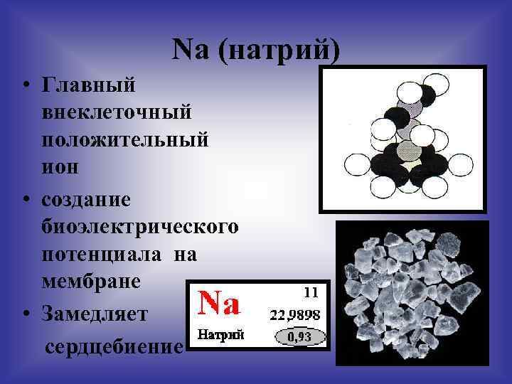 Na (натрий) • Главный внеклеточный положительный ион • создание биоэлектрического потенциала на мембране •