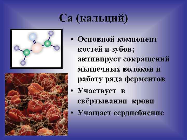 Ca (кальций) • Основной компонент костей и зубов; активирует сокращений мышечных волокон и работу