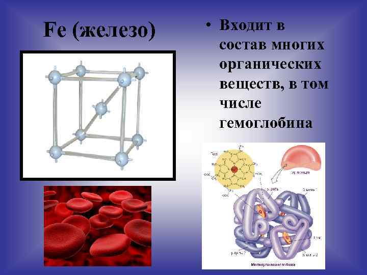 Fе (железо) • Входит в состав многих органических веществ, в том числе гемоглобина 