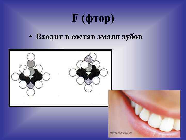 F (фтор) • Входит в состав эмали зубов 