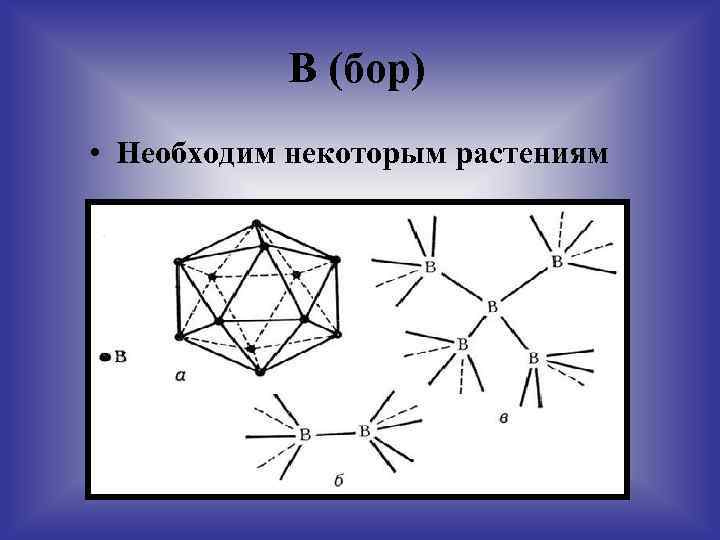 В (бор) • Необходим некоторым растениям 